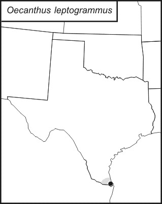 <span class="translation_missing" title="translation missing: pms.medium.untitled.map_image_of, page_name: Oecanthus leptogrammus Walker &amp; T. J. 1962">Map Image Of</span>