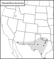 <span class="translation_missing" title="translation missing: pms.medium.untitled.map_image_of, page_name: Oecanthus texensis Symes &amp; N. Collins 2013">Map Image Of</span>