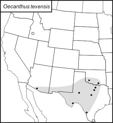 <span class="translation_missing" title="translation missing: pms.medium.untitled.map_image_of, page_name: Oecanthus texensis Symes &amp; N. Collins 2013">Map Image Of</span>