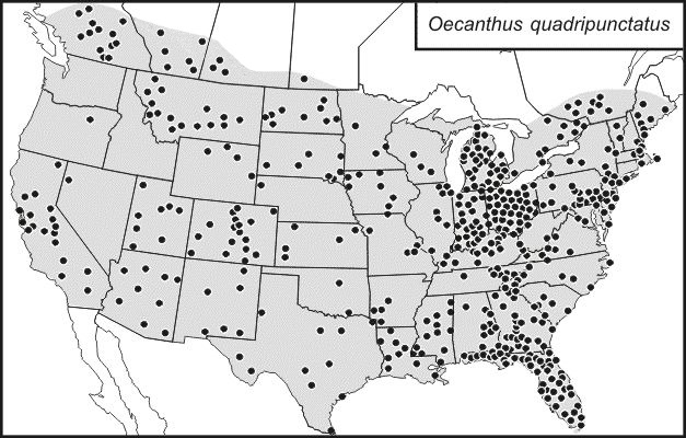 <span class="translation_missing" title="translation missing: pms.medium.untitled.map_image_of, page_name: Oecanthus quadripunctatus Beutenmüller 1894">Map Image Of</span>