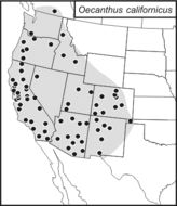 <span class="translation_missing" title="translation missing: pms.medium.untitled.map_image_of, page_name: Oecanthus californicus Saussure 1874">Map Image Of</span>