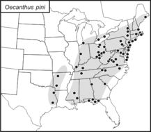 <span class="translation_missing" title="translation missing: en.medium.untitled.map_image_of, page_name: Pine Tree Cricket">Map Image Of</span>