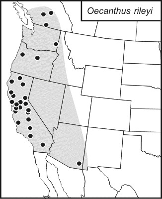 <span class="translation_missing" title="translation missing: pt-BR.medium.untitled.map_image_of, page_name: Oecanthus rileyi Baker &amp; C. F. 1905">Map Image Of</span>