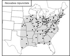 <span class="translation_missing" title="translation missing: tr.medium.untitled.map_image_of, page_name: Neoxabea bipunctata (De Geer 1773)">Map Image Of</span>