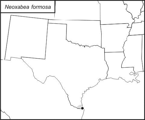 <span class="translation_missing" title="translation missing: tr.medium.untitled.map_image_of, page_name: Neoxabea formosa (Walker &amp; F. 1869)">Map Image Of</span>