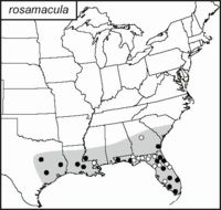 <span class="translation_missing" title="translation missing: mk.medium.untitled.map_image_of, page_name: Anaxipha rosamacula Walker, T. J. &amp; Funk 2014">Map Image Of</span>