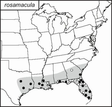 <span class="translation_missing" title="translation missing: en.medium.untitled.map_image_of, page_name: Anaxipha rosamacula Walker, T. J. &amp; Funk 2014">Map Image Of</span>