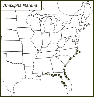 <span class="translation_missing" title="translation missing: mk.medium.untitled.map_image_of, page_name: Anaxipha litarena Fulton 1956">Map Image Of</span>