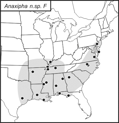 <span class="translation_missing" title="translation missing: mk.medium.untitled.map_image_of, page_name: Anaxipha tinnulenta Walker, T. J. &amp; Funk 2014">Map Image Of</span>