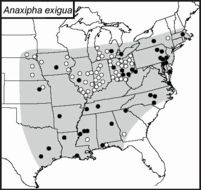 <span class="translation_missing" title="translation missing: mk.medium.untitled.map_image_of, page_name: Anaxipha exigua (Say 1825)">Map Image Of</span>