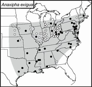 <span class="translation_missing" title="translation missing: tr.medium.untitled.map_image_of, page_name: Trigonidiinae">Map Image Of</span>