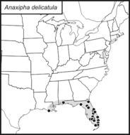 <span class="translation_missing" title="translation missing: mk.medium.untitled.map_image_of, page_name: Anaxipha delicatula (Scudder &amp; S. H. 1878)">Map Image Of</span>