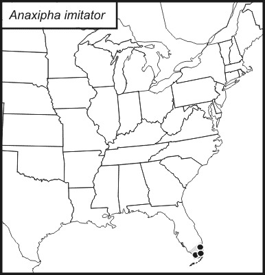 <span class="translation_missing" title="translation missing: mk.medium.untitled.map_image_of, page_name: Anaxipha imitator (Saussure 1878)">Map Image Of</span>