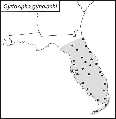 <span class="translation_missing" title="translation missing: mk.medium.untitled.map_image_of, page_name: Cyrtoxipha gundlachi Saussure 1874">Map Image Of</span>