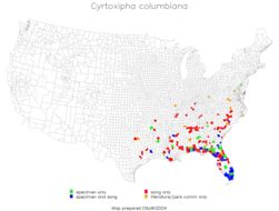 <span class="translation_missing" title="translation missing: mk.medium.untitled.map_image_of, page_name: Cyrtoxipha columbiana Caudell 1907">Map Image Of</span>