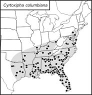 <span class="translation_missing" title="translation missing: mk.medium.untitled.map_image_of, page_name: Cyrtoxipha columbiana Caudell 1907">Map Image Of</span>