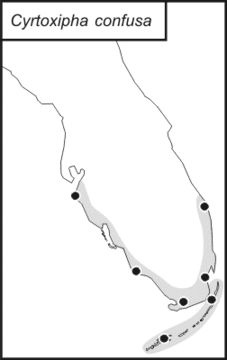 <span class="translation_missing" title="translation missing: mk.medium.untitled.map_image_of, page_name: Cyrtoxipha confusa Walker &amp; T. J. 1969">Map Image Of</span>