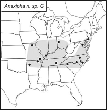 <span class="translation_missing" title="translation missing: en.medium.untitled.map_image_of, page_name: Anaxipha vernalis Walker, T. J. &amp; Funk 2014">Map Image Of</span>