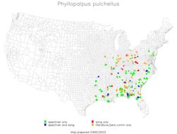 <span class="translation_missing" title="translation missing: fr.medium.untitled.map_image_of, page_name: Phyllopalpus pulchellus Uhler 1864">Map Image Of</span>