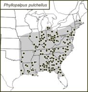 <span class="translation_missing" title="translation missing: fr.medium.untitled.map_image_of, page_name: Phyllopalpus pulchellus Uhler 1864">Map Image Of</span>