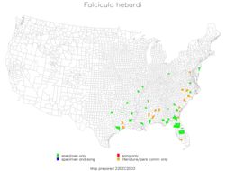 <span class="translation_missing" title="translation missing: fr.medium.untitled.map_image_of, page_name: Falcicula hebardi Rehn &amp; J. A. G. 1903">Map Image Of</span>