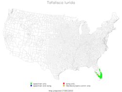 <span class="translation_missing" title="translation missing: fr.medium.untitled.map_image_of, page_name: Tafalisca eleuthera Otte, D. &amp; Perez-Gelabert 2009">Map Image Of</span>