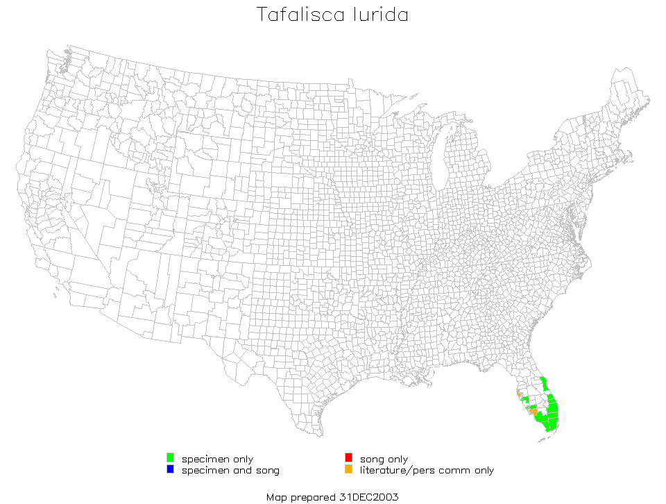 <span class="translation_missing" title="translation missing: ar.medium.untitled.map_image_of, page_name: Tafalisca eleuthera Otte, D. &amp; Perez-Gelabert 2009">Map Image Of</span>