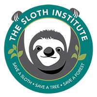 Image of sloth