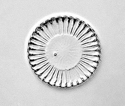 Image of Coscinodiscophyceae