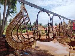 Image of rattan