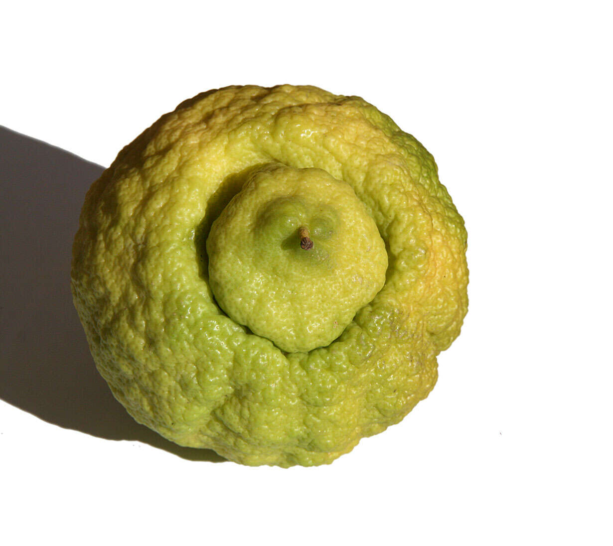 Image of citron