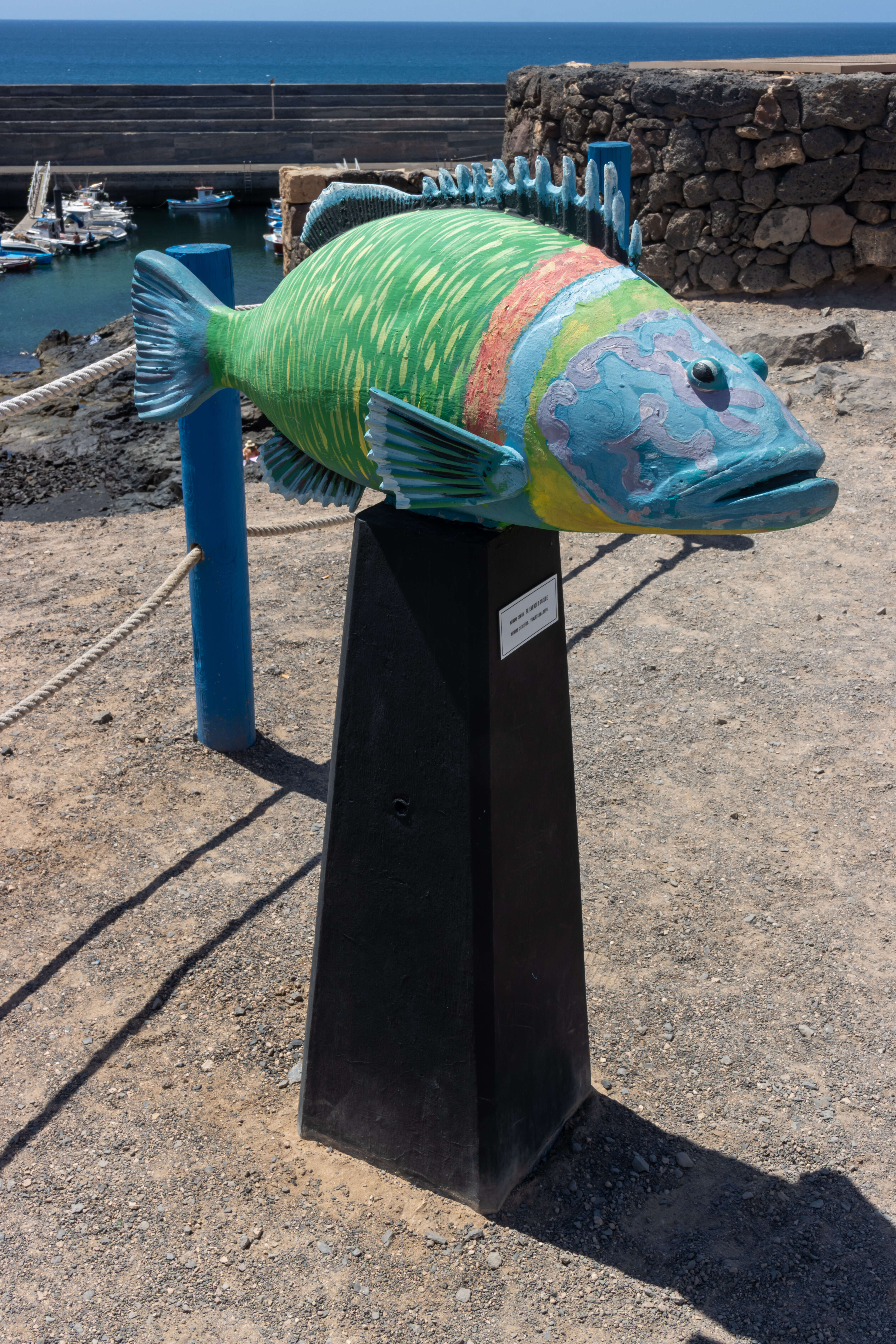 Image of Ornate Wrasse