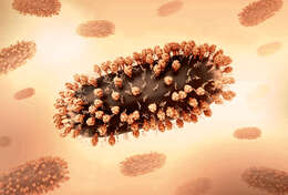 Image de Human respiratory syncytial virus