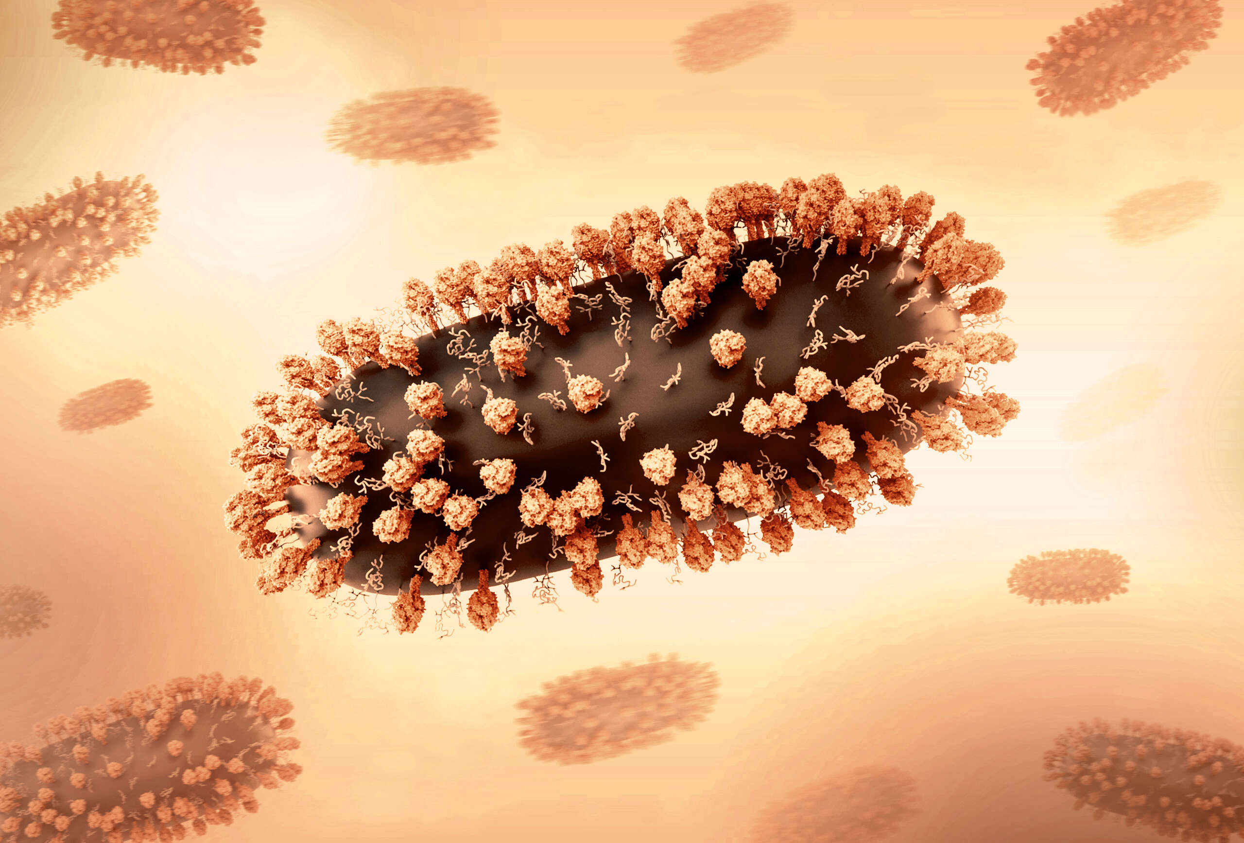 Image de Human respiratory syncytial virus