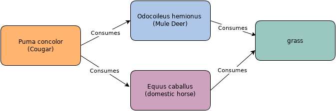 Image of horses, rhinoceroses, and tapirs