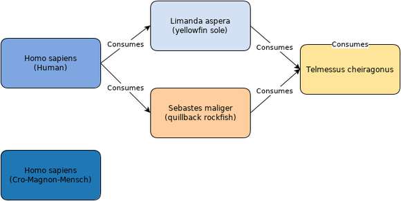 Image de Limanda
