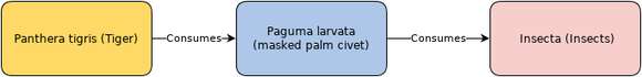 Image of masked palm civet