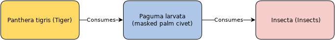 Image of masked palm civet