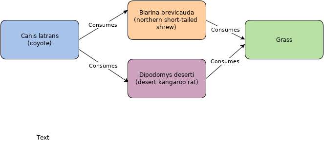 Image of Reptiliomorpha