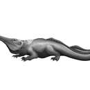 Plancia ëd Archegosauridae