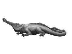 Imagem de Archegosauridae