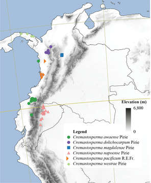 صورة Cremastosperma awaense Pirie