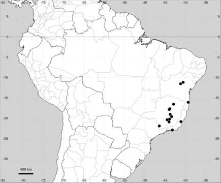 صورة <i>M. tenuifolia</i> Moq. ex DC. & Prodr.