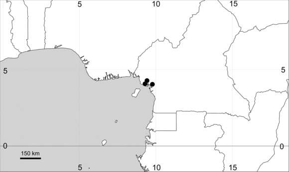 Sivun <i>M. debilis</i> Sw. & Prodr. kuva