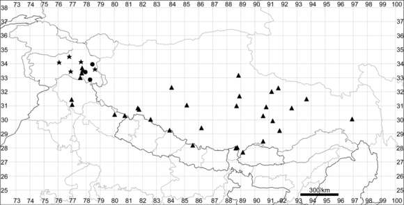 Plancia ëd Microgynoecium