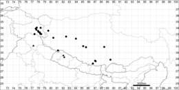 Dysphania tibetica (A. J. Li) Uotila的圖片