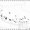 Sivun Dysphania nepalensis (Link ex Colla) Mosyakin & Clemants kuva