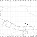 Слика од Corispermum pseudofalcatum C. P. Tsien & C. G. Ma