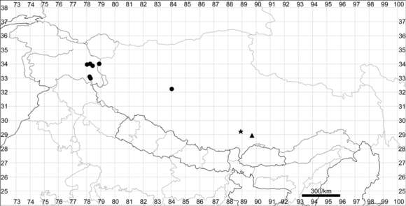 Слика од Corispermum pseudofalcatum C. P. Tsien & C. G. Ma