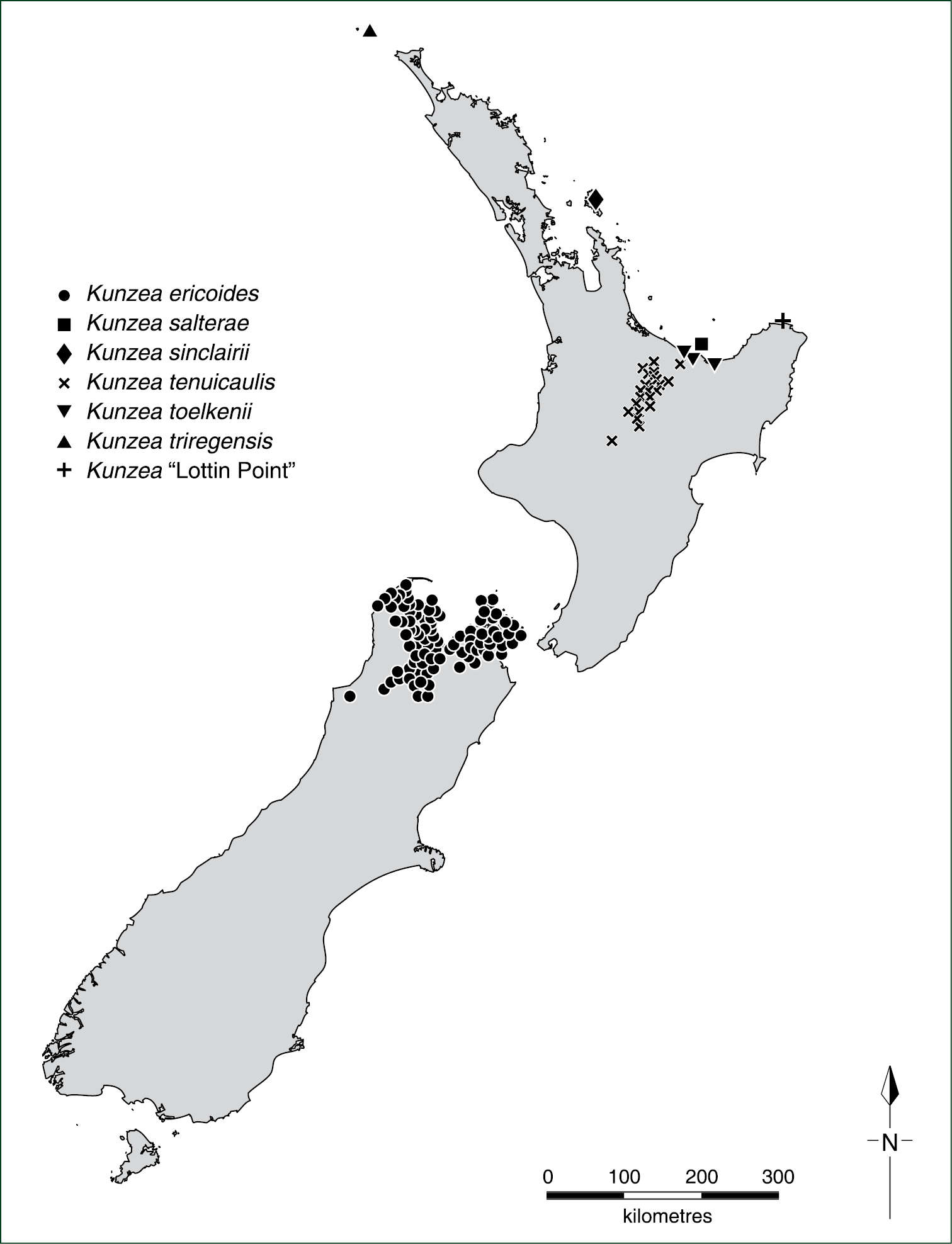 Image of Kunzea tenuicaulis de Lange